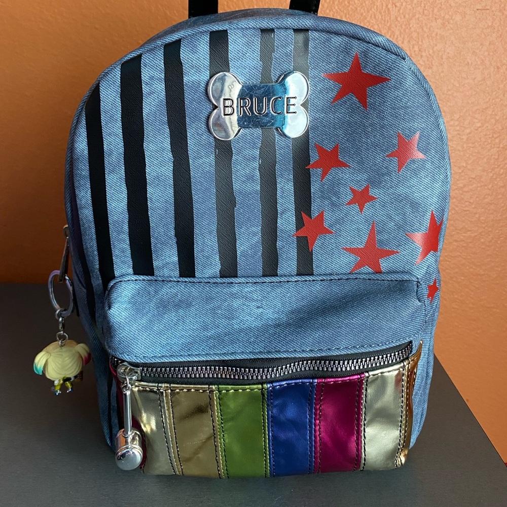Harley Quinn Birds of Prey Backpack with Key Chain